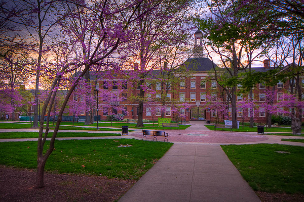 格林威治大学金融与经济课程辅导哪家好？