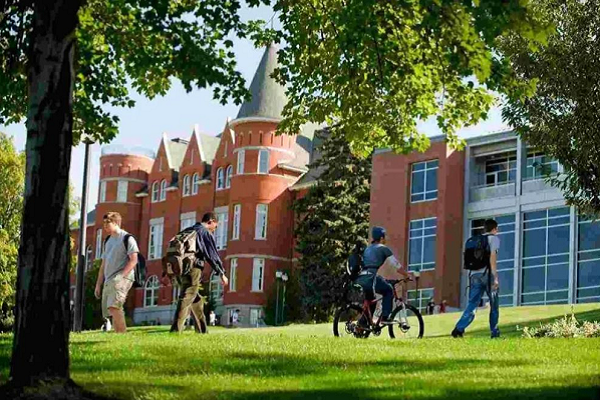 德克萨斯农工大学BIMS生物信息学与分子科学课程预习辅导 德克萨斯农工大学BIMS生物信息学与分子科学课程预习辅导