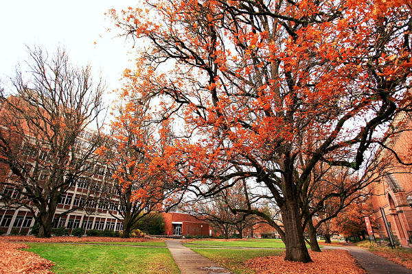 利物浦大学应用数学考试辅导哪家好？