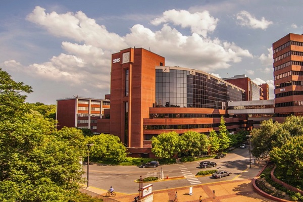 莫纳什大学高级工程作业辅导哪家好？