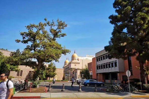 奥克兰大学信息技术作业辅导哪家好？