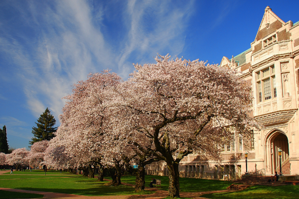 香港浸会大学ACCT7060管理会计考试辅导 香港浸会大学ACCT7060管理会计考试辅导