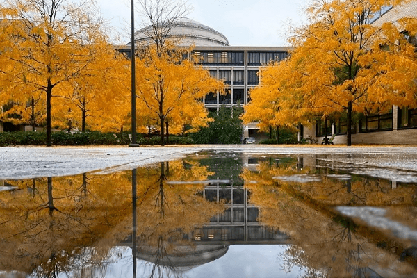 墨尔本大学应用数学课程学习难点有哪些? 墨尔本大学应用数学课程学习难点有哪些?