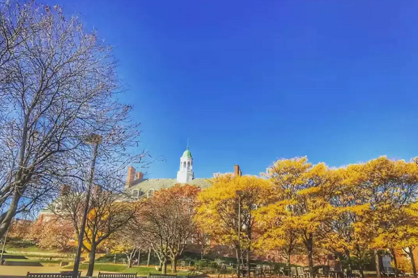 新南威尔士大学电信工程课程辅导哪家好？