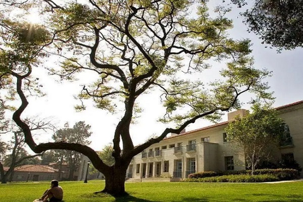 南安普顿大学工程材料考试辅导补习