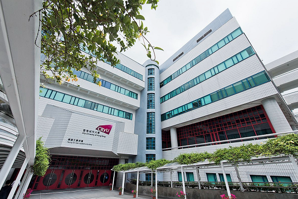 香港城市大学MS5217课程哪家能辅导？